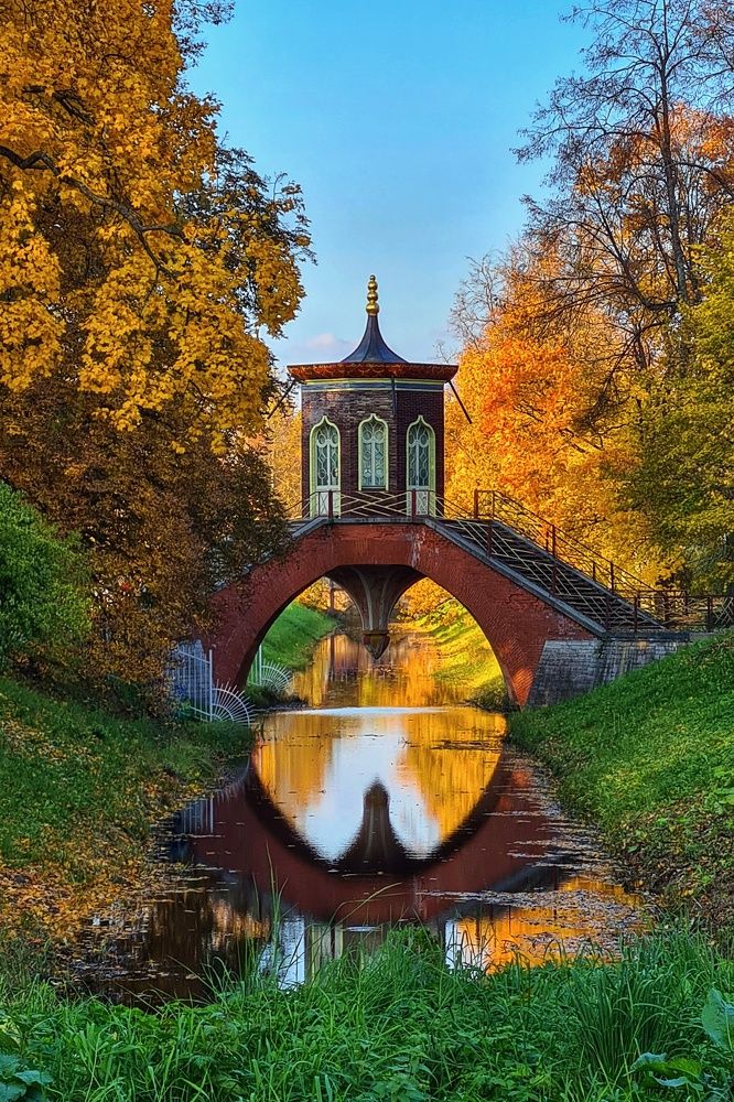 Фотография автора Тюрюханова Дарья