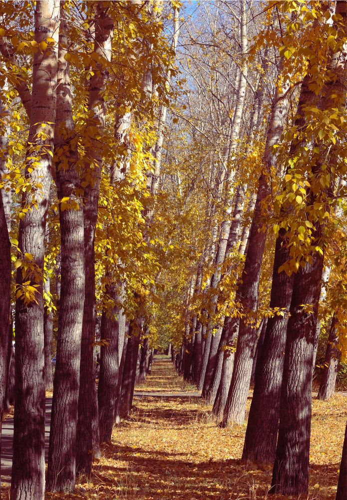 Photograph by Татьяна Гатиятуллина