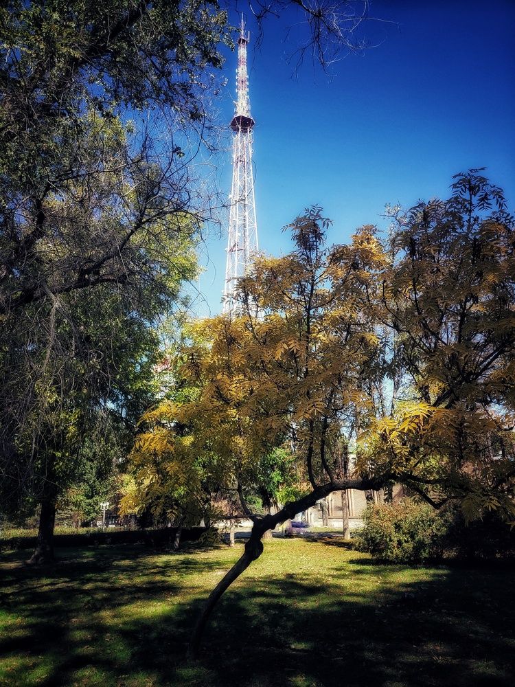 Фотография автора Ольга Игуменова