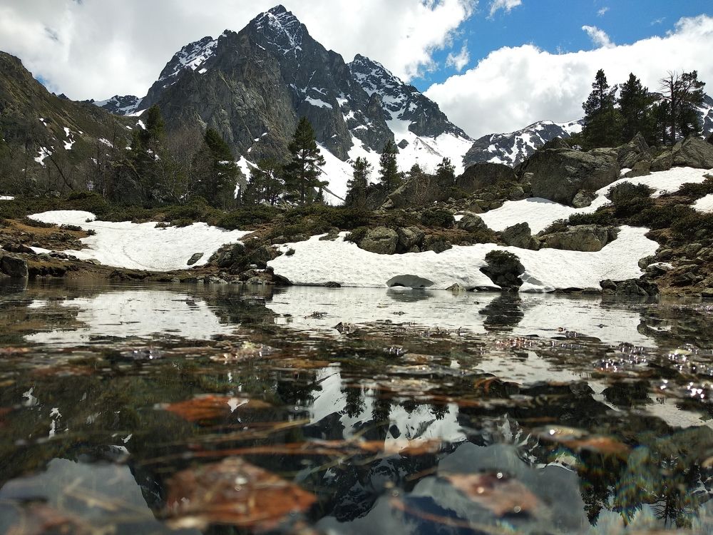 Photograph by Дарья