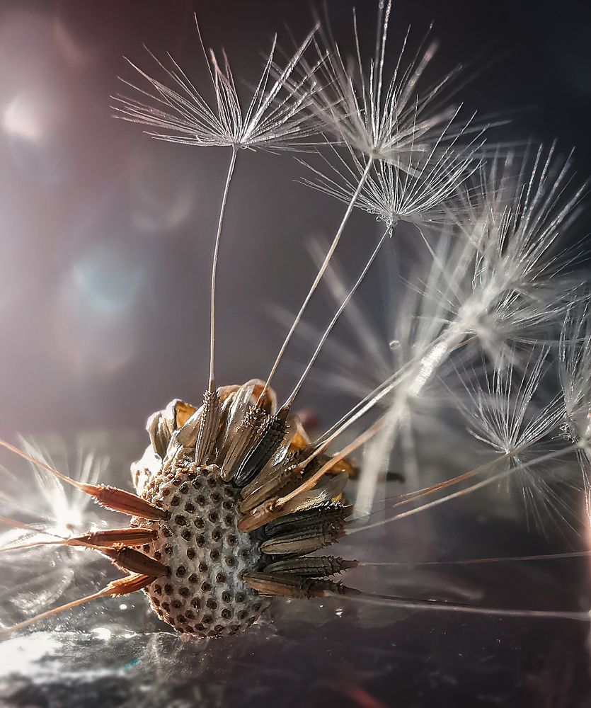 Невесомость