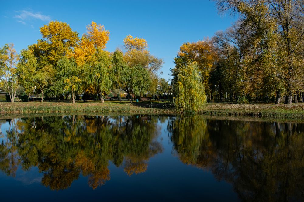 Фотография автора Алексей Боровик