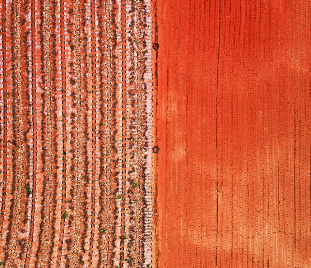 Photograph by Poung Young Kwak