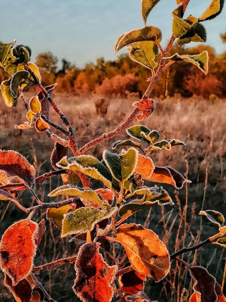 Photograph by Марина Адамковская