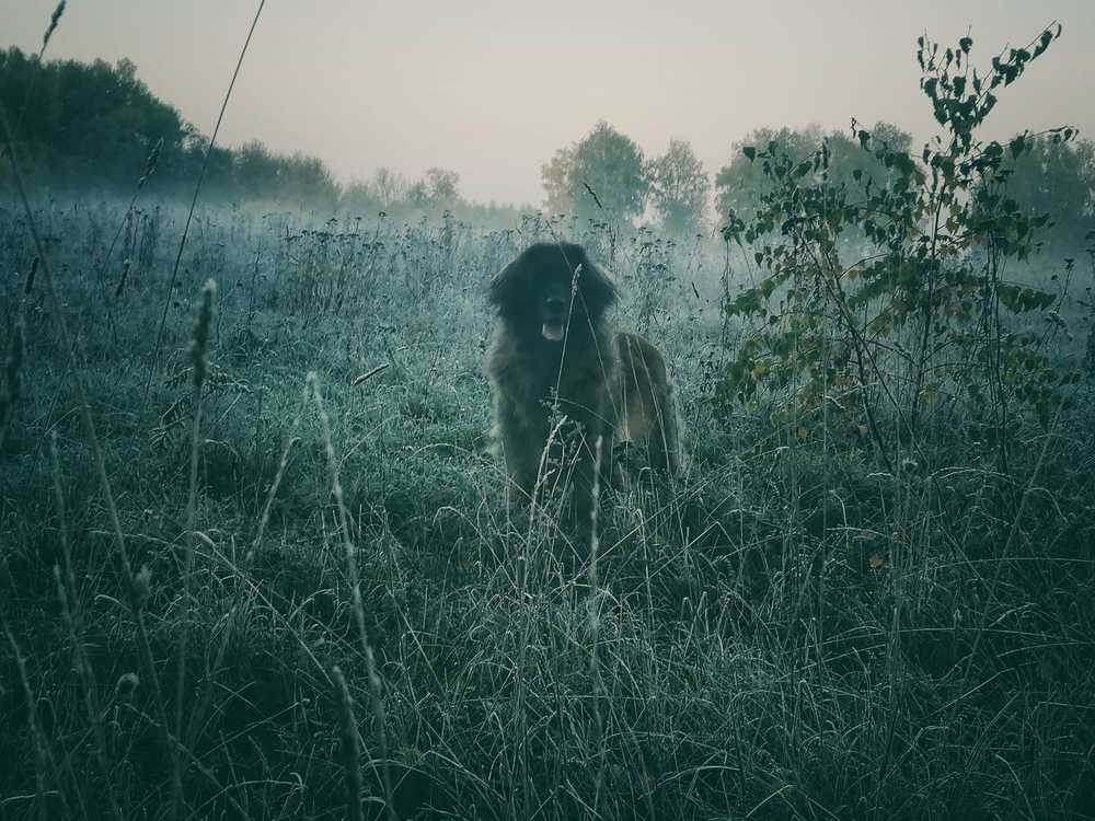 Photograph by Марина Адамковская
