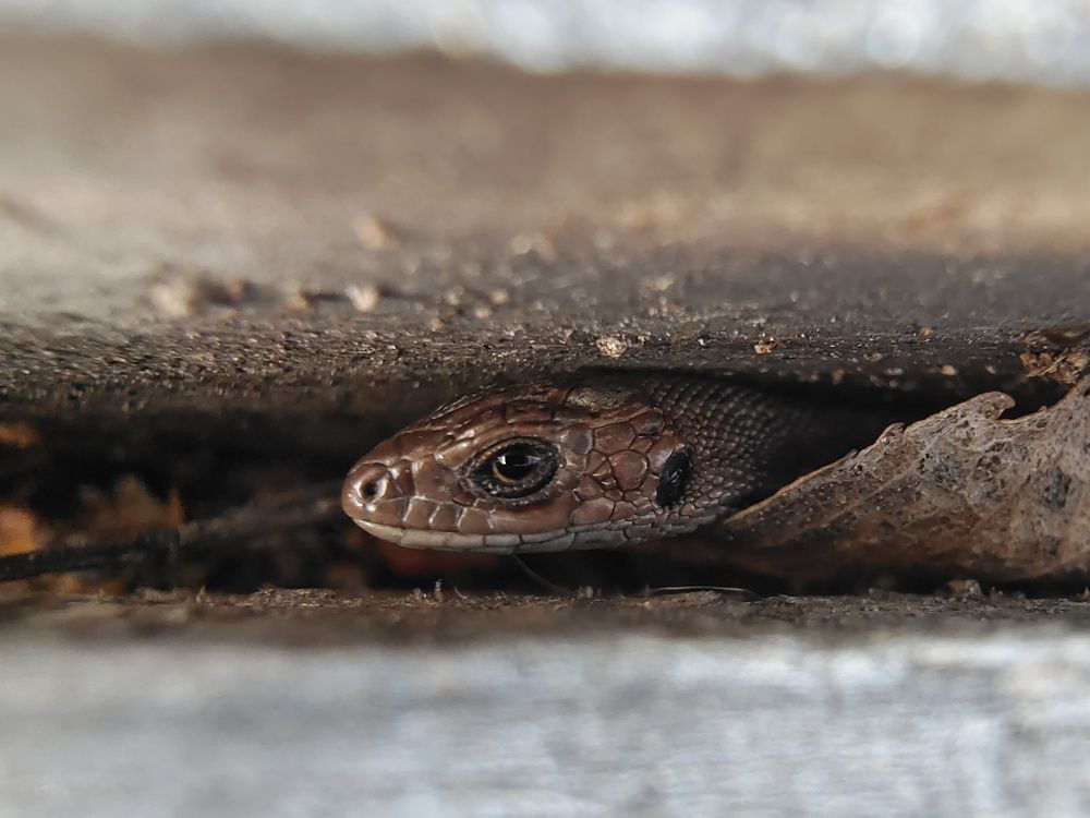 Photo #6564257