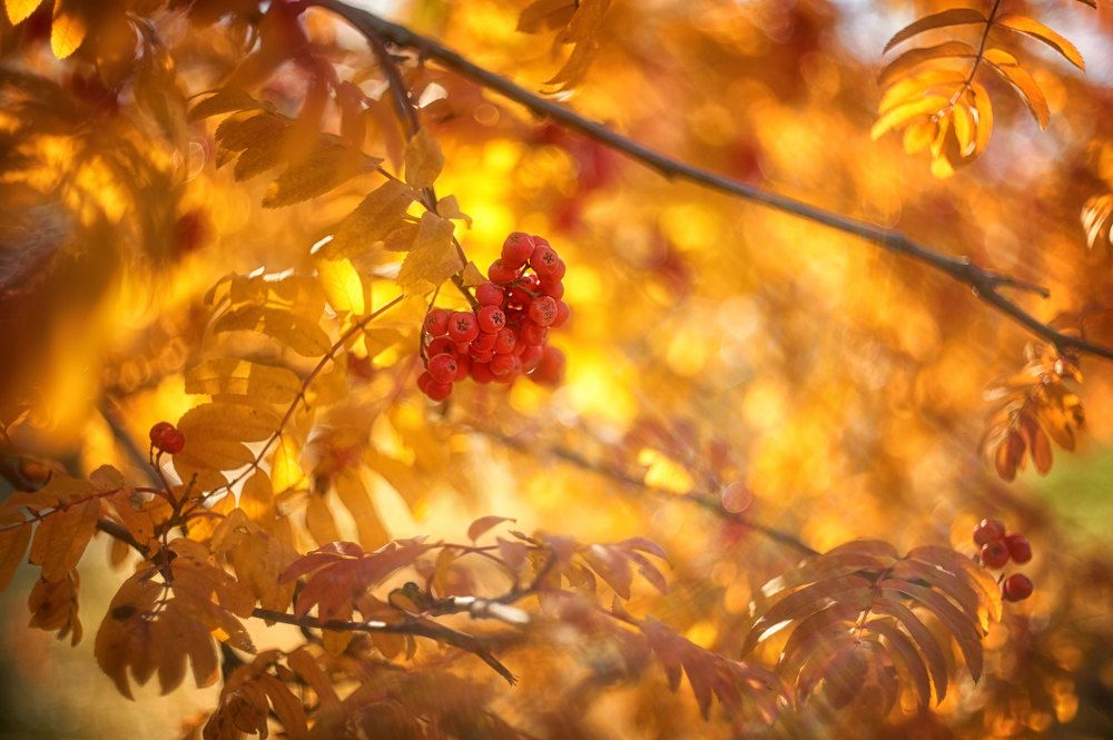 Photograph by Alexander Coin