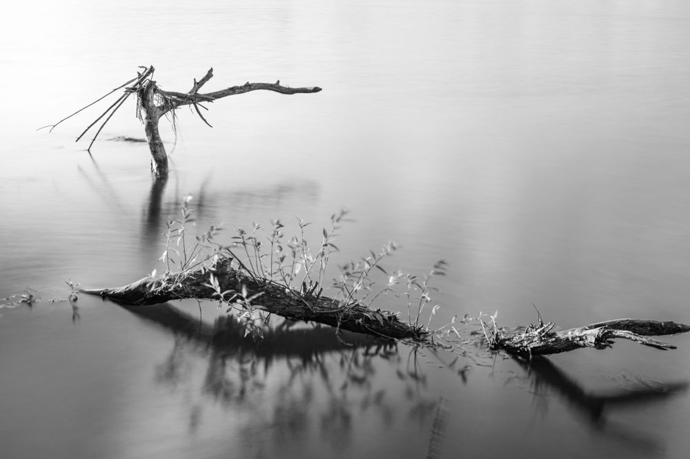 Photograph by Robert Krystosik