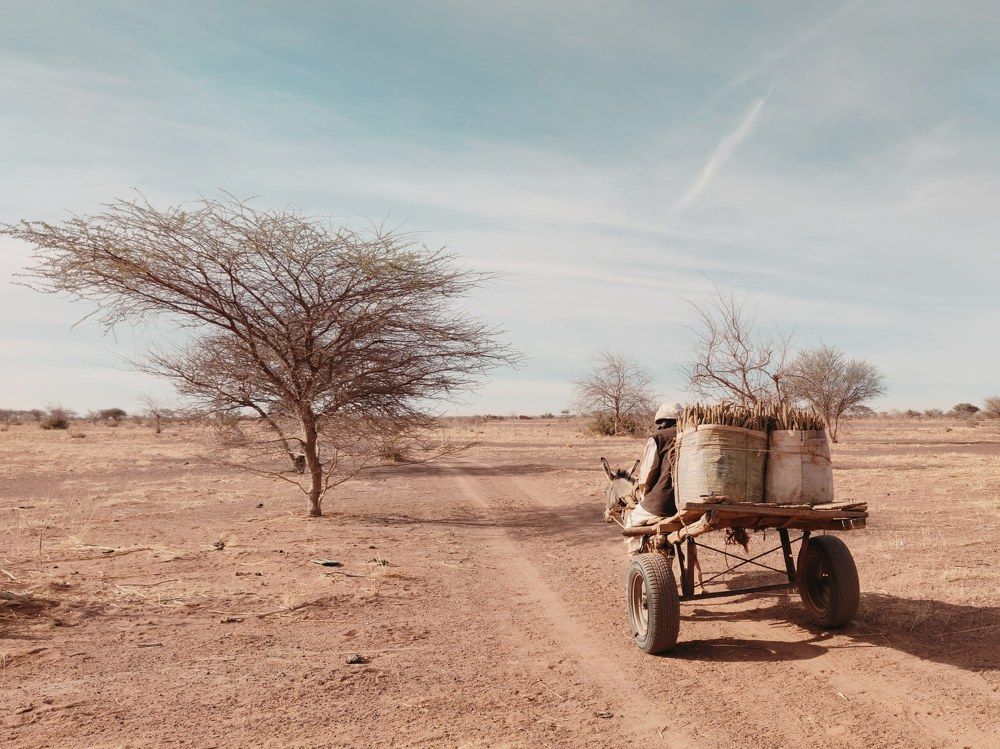 Photograph by Christopher