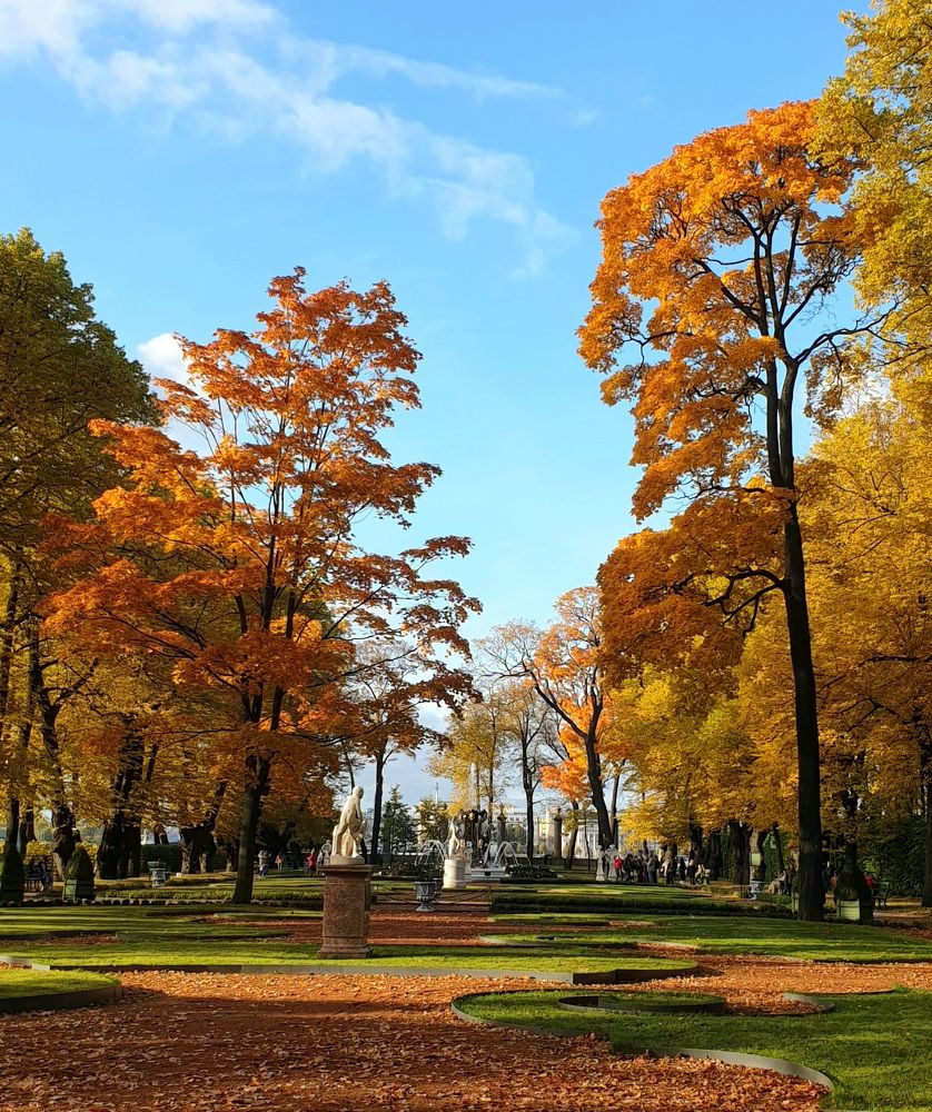 Photograph by Наталья Пагоцкая