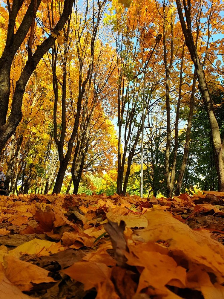 Photograph by Наталья Пагоцкая