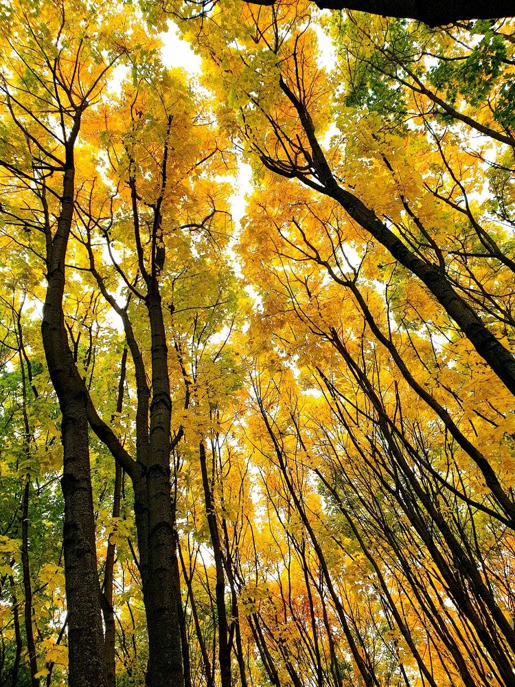 Photograph by Наталья Пагоцкая