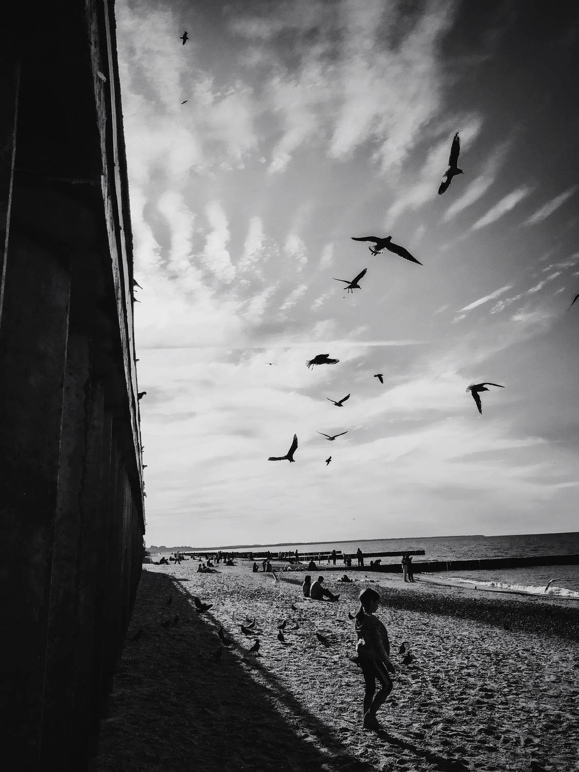 Photo #6564298