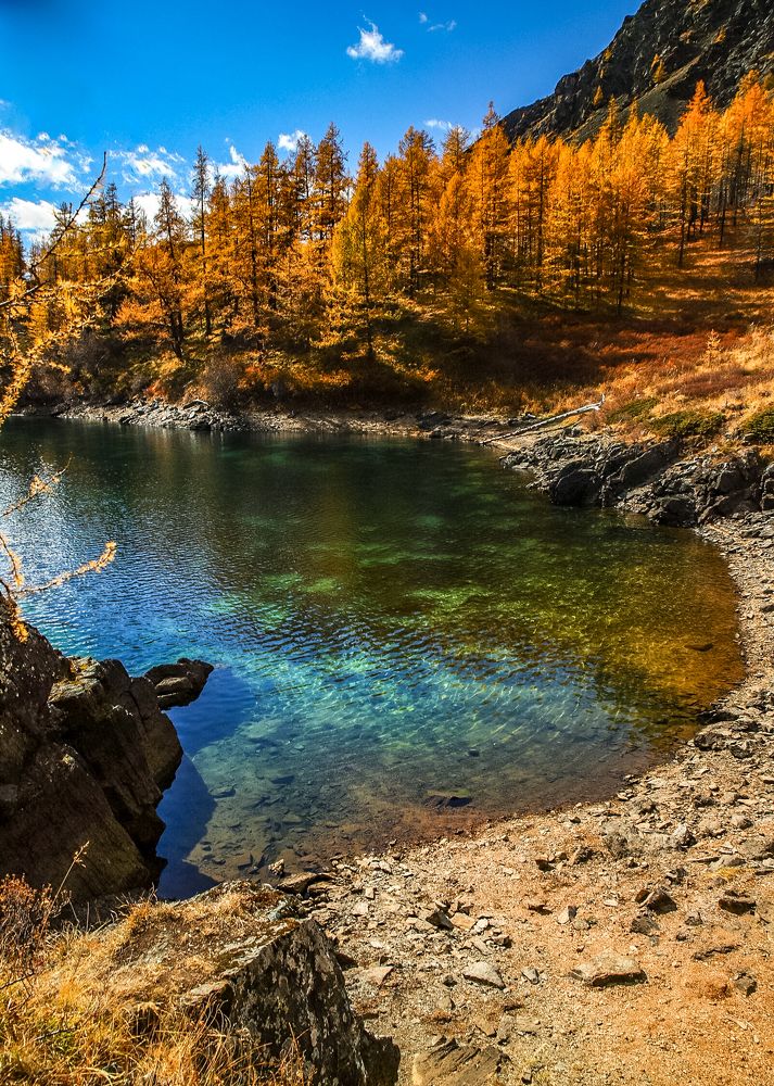 Золото Алтая