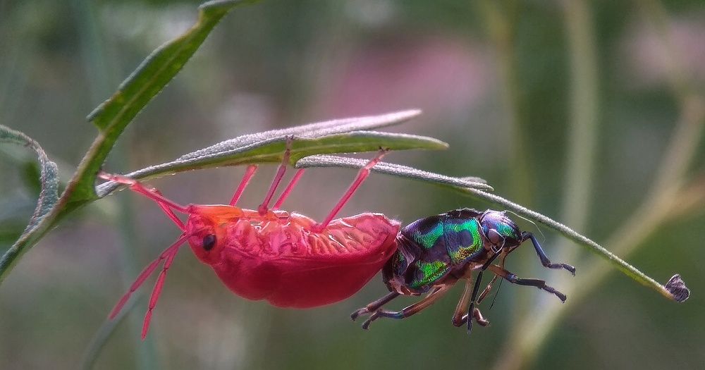 Photograph by Photography Debroto