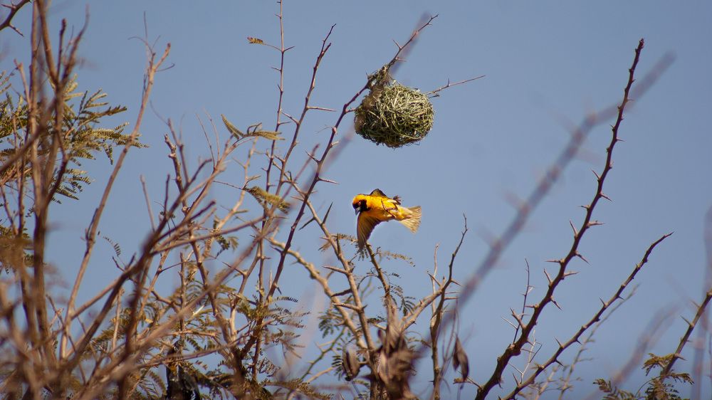 Photograph by Boitshepo Moate