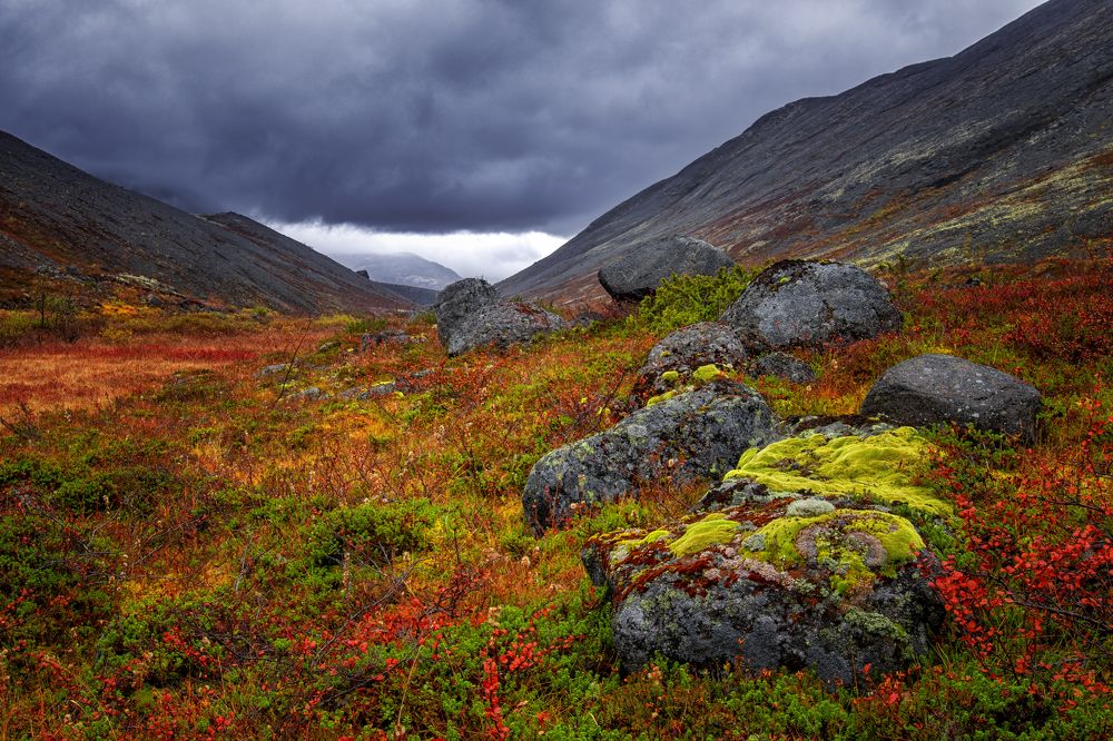 Photograph by Elena Gureva