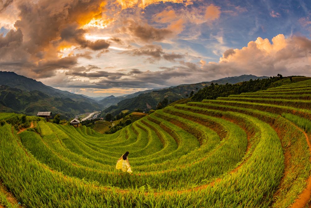 Sunset on Sang Nhu Terraces filed