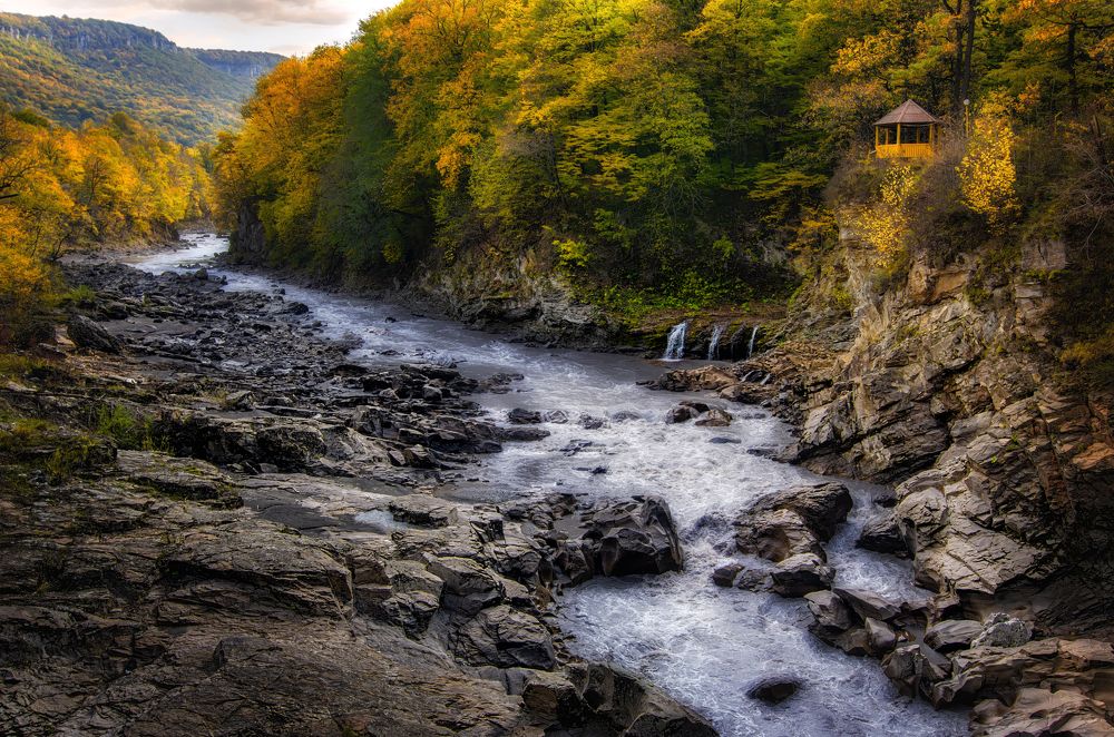 Photograph by Elena Gureva