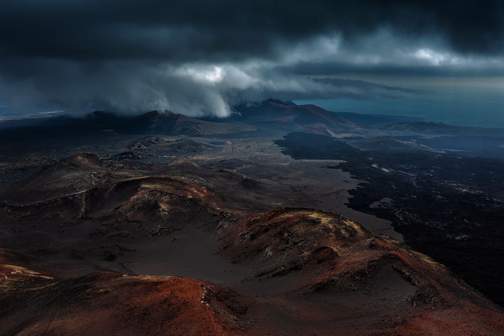 Photograph by Elena Gureva