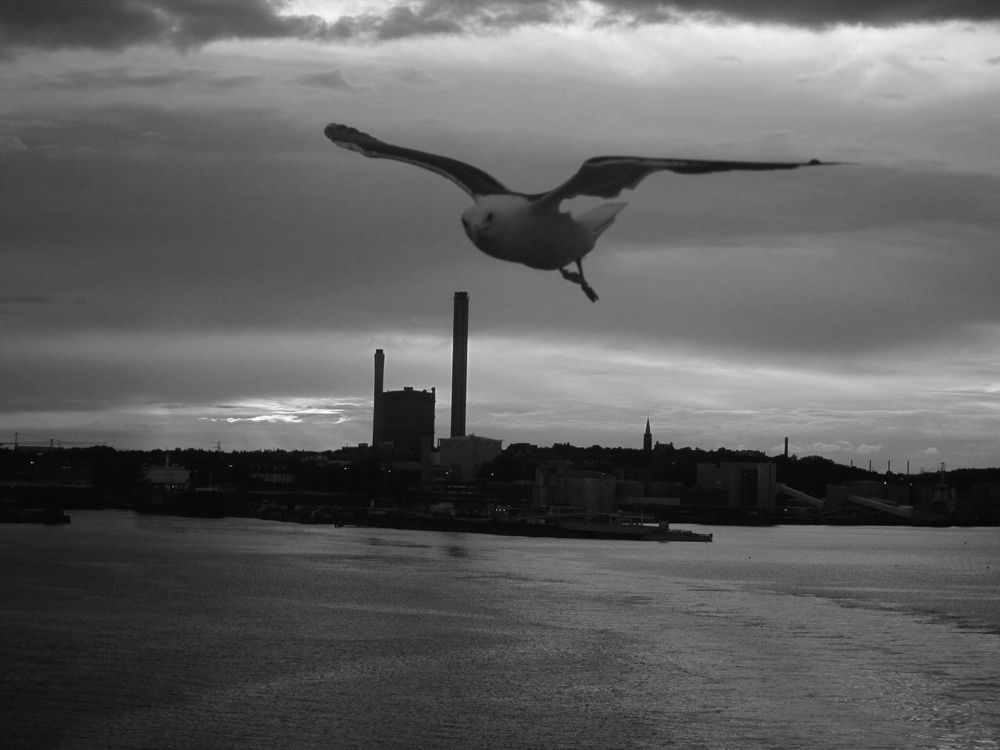Photograph by Анна Кавка