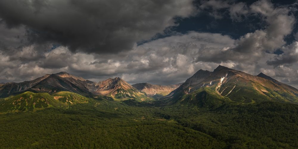 Photograph by Elena Gureva