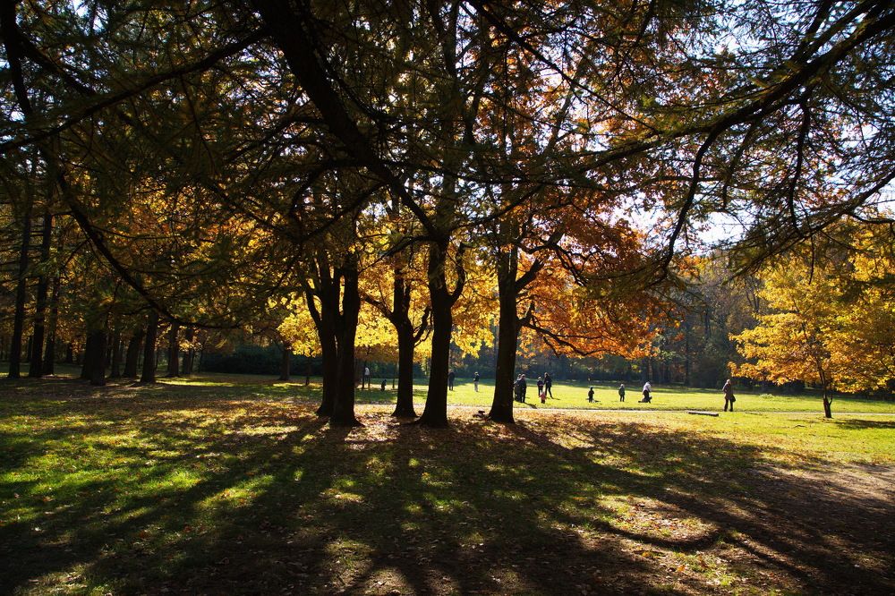 Photograph by Анатолий Протасов