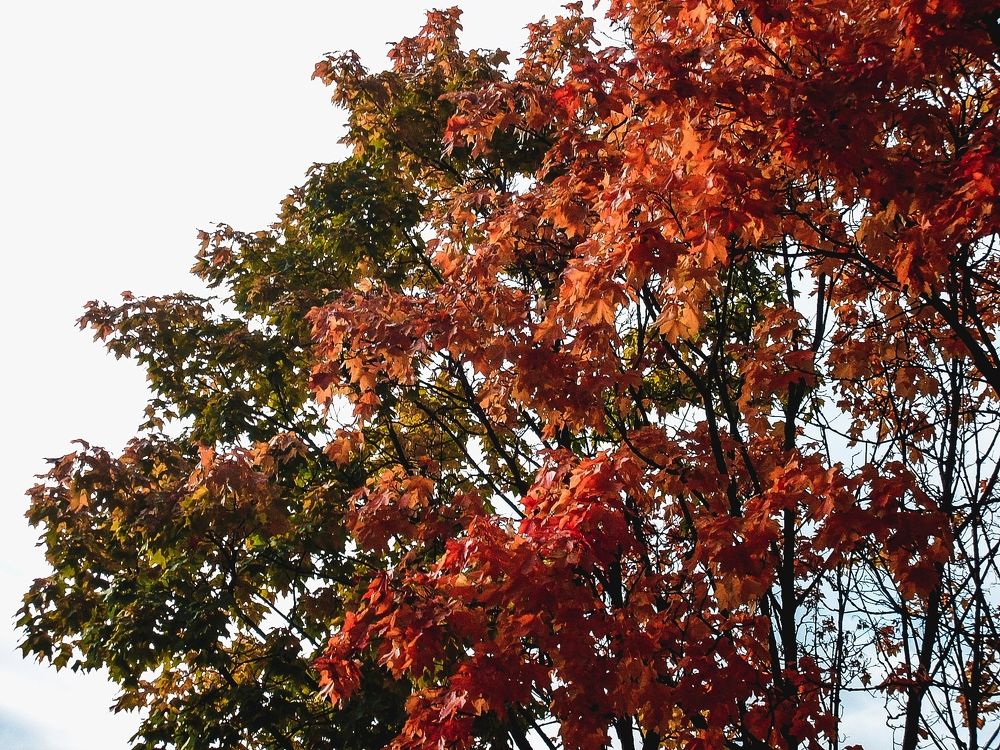 Photograph by Елизавета Большакова