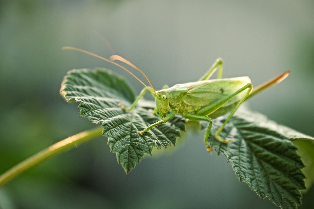 Photograph by Елена Сухарева