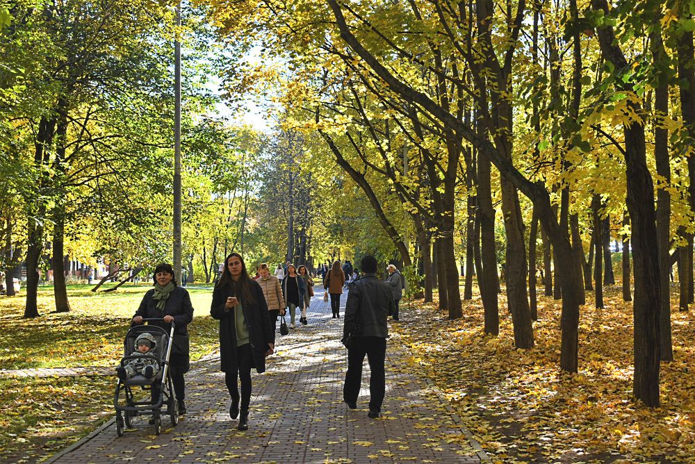 Photograph by Сергей Иванович Носов