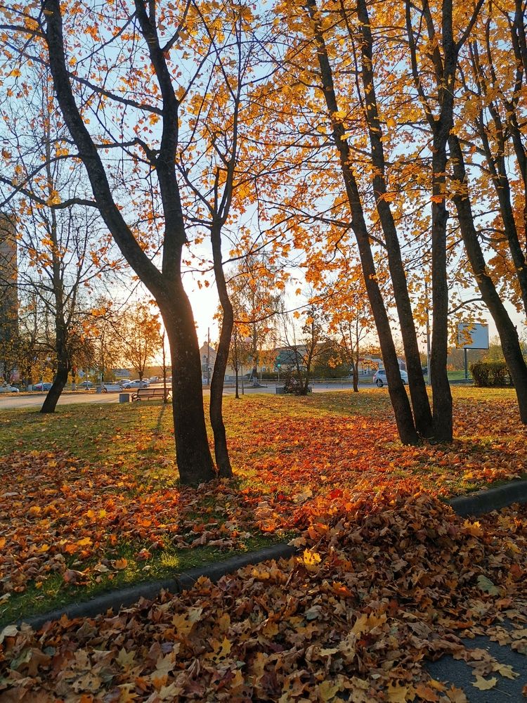 Photograph by Ekaterina Stepanchyk