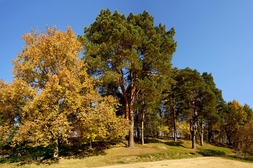 Тихая осень