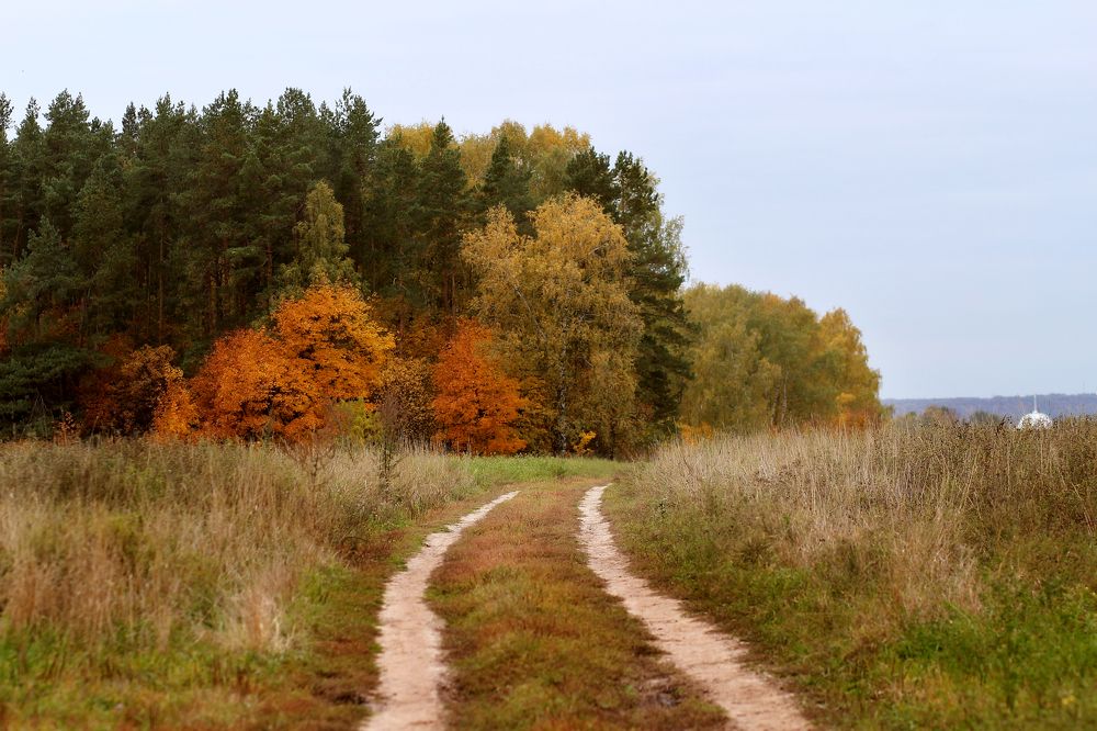 Photograph by Галина Щурова