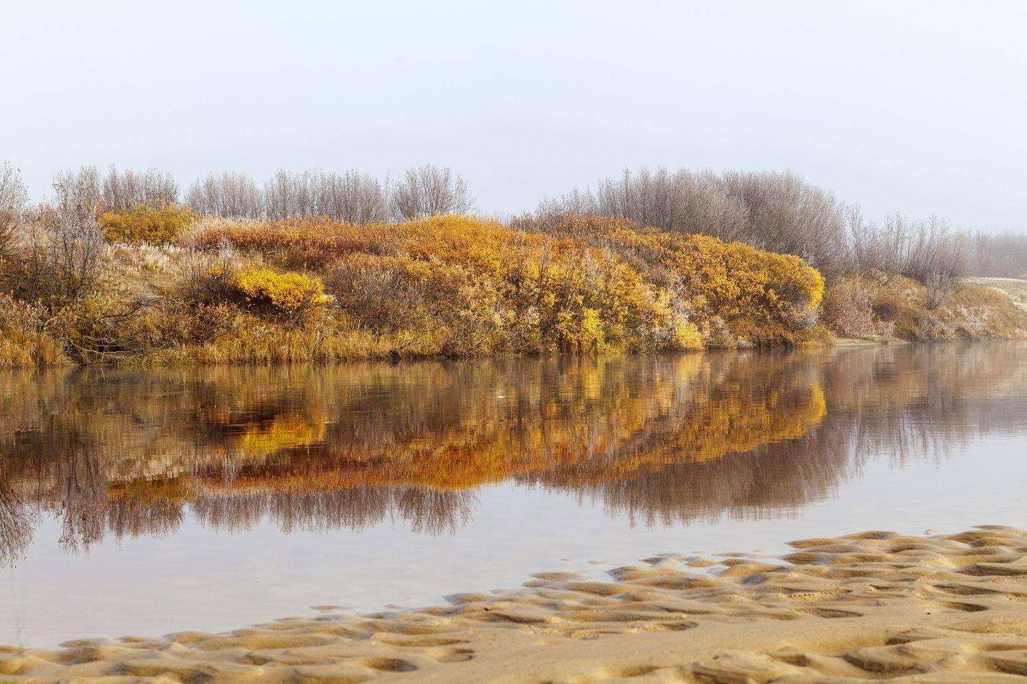 Фотография #6564718