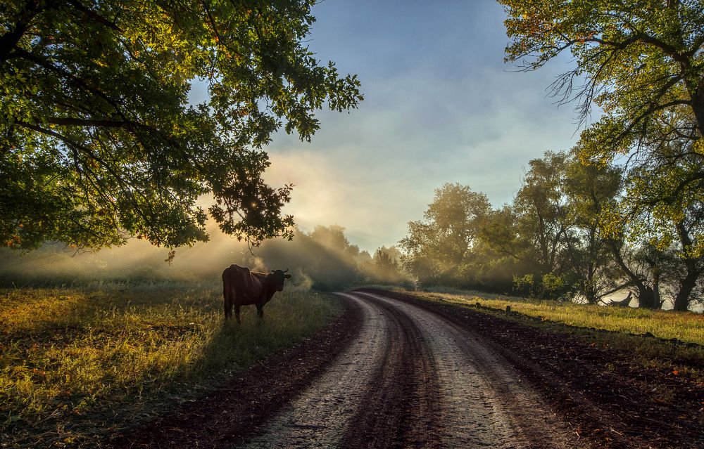Photograph by Александр Белянский
