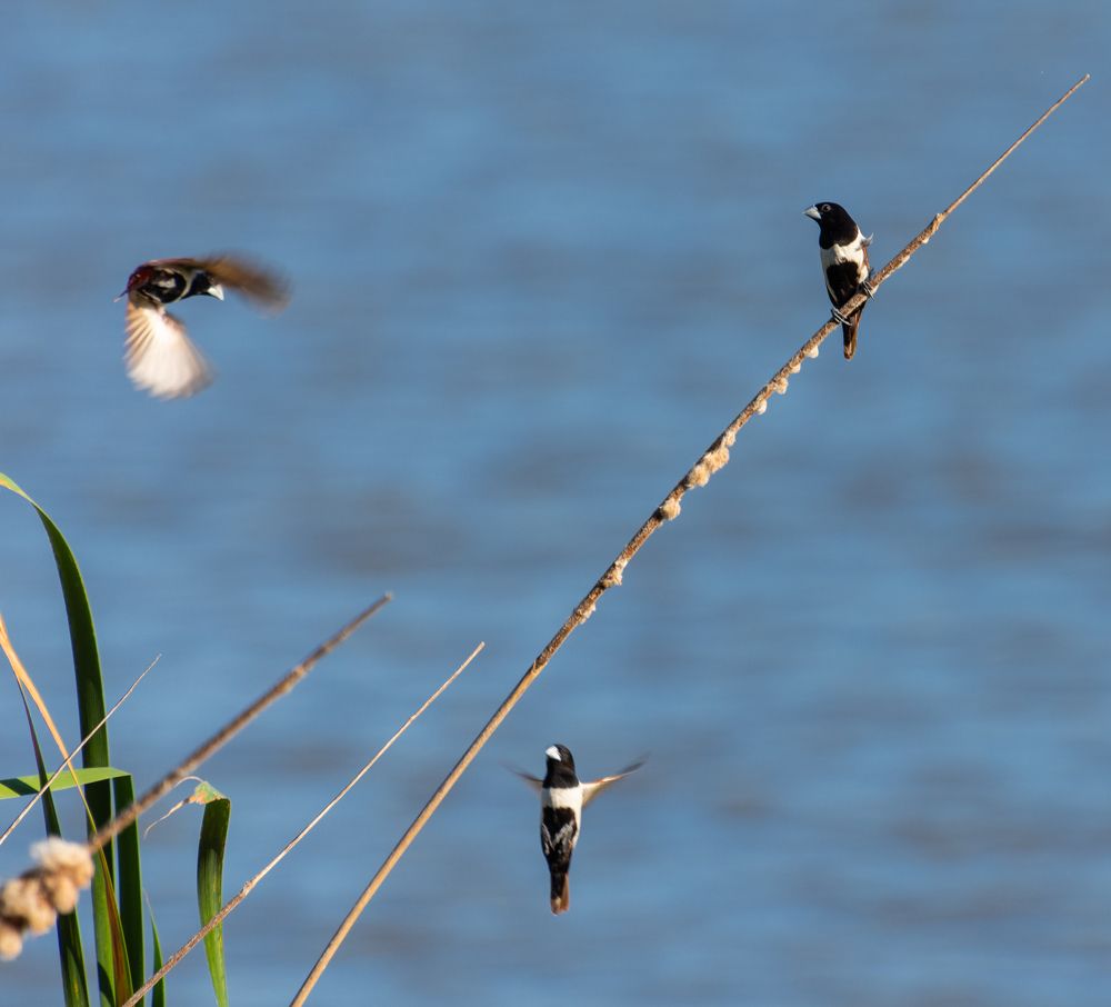 Photograph by Букин Александр