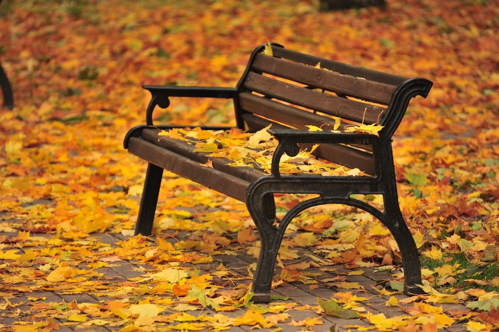 Photograph by Юрий Яковлев