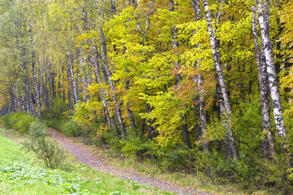 Photograph by Елена Щитова