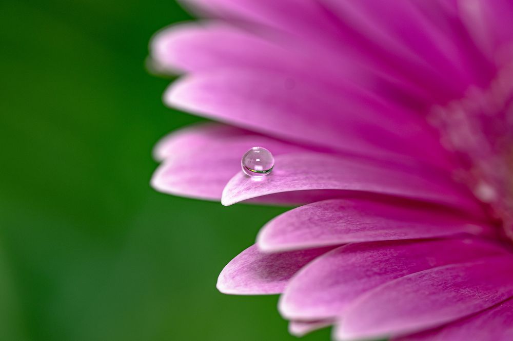 Photograph by Cuong Le Tien