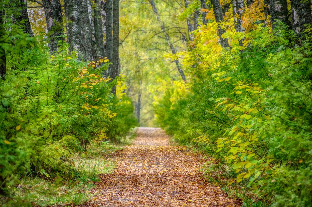 Photograph by Елена Щитова