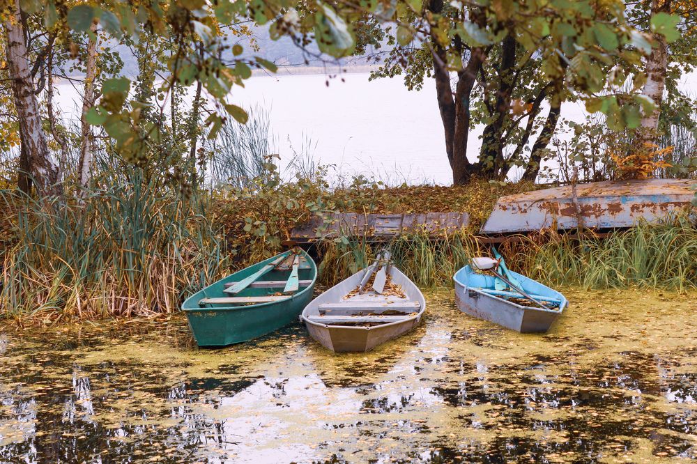 Photograph by Елена Квасова