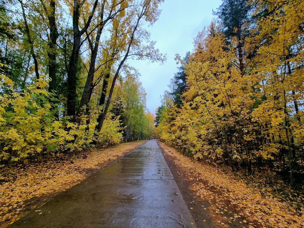 Photograph by Алексей Приешкин