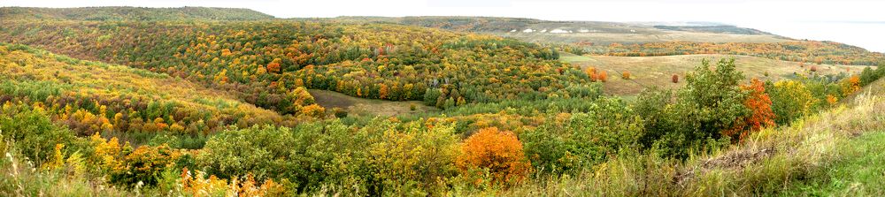 Photograph by Сергей Юрьев