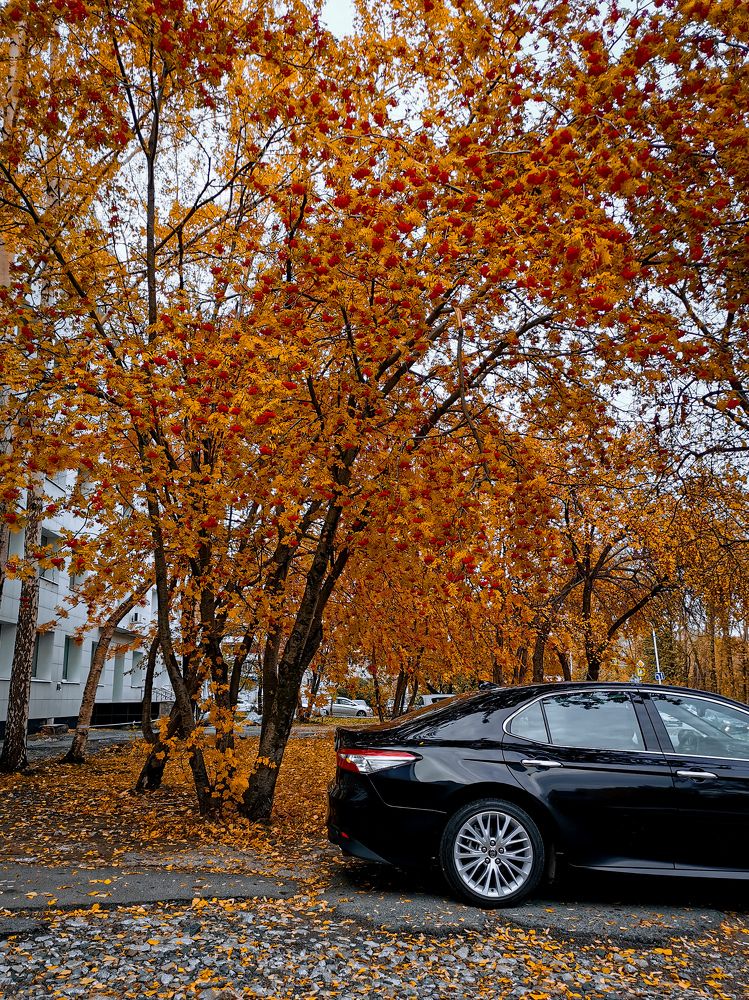 Photograph by Julia Dorofeeva