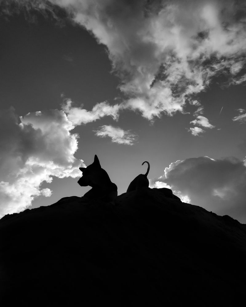 Photograph by Gourab Mishra