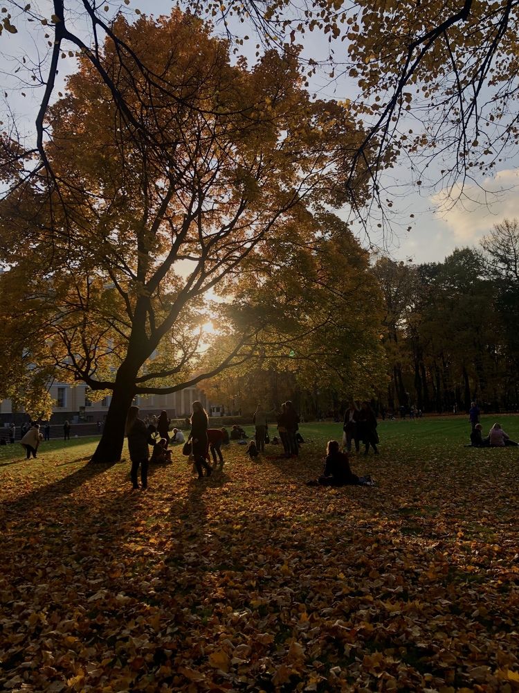 Photograph by Дарья