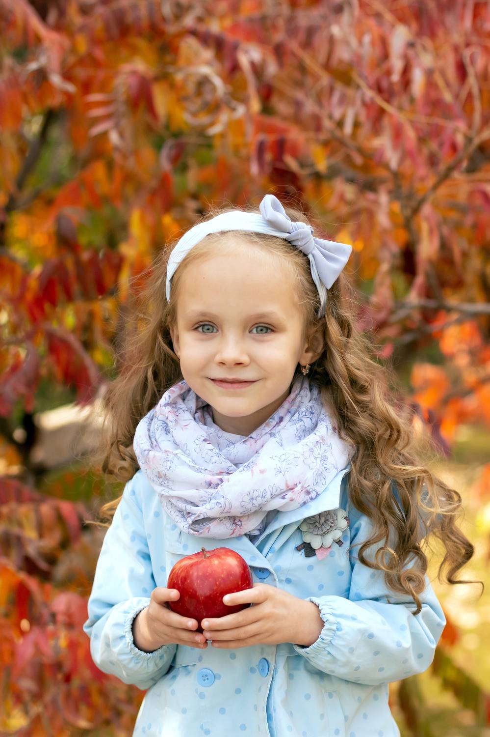 Photo #6565057