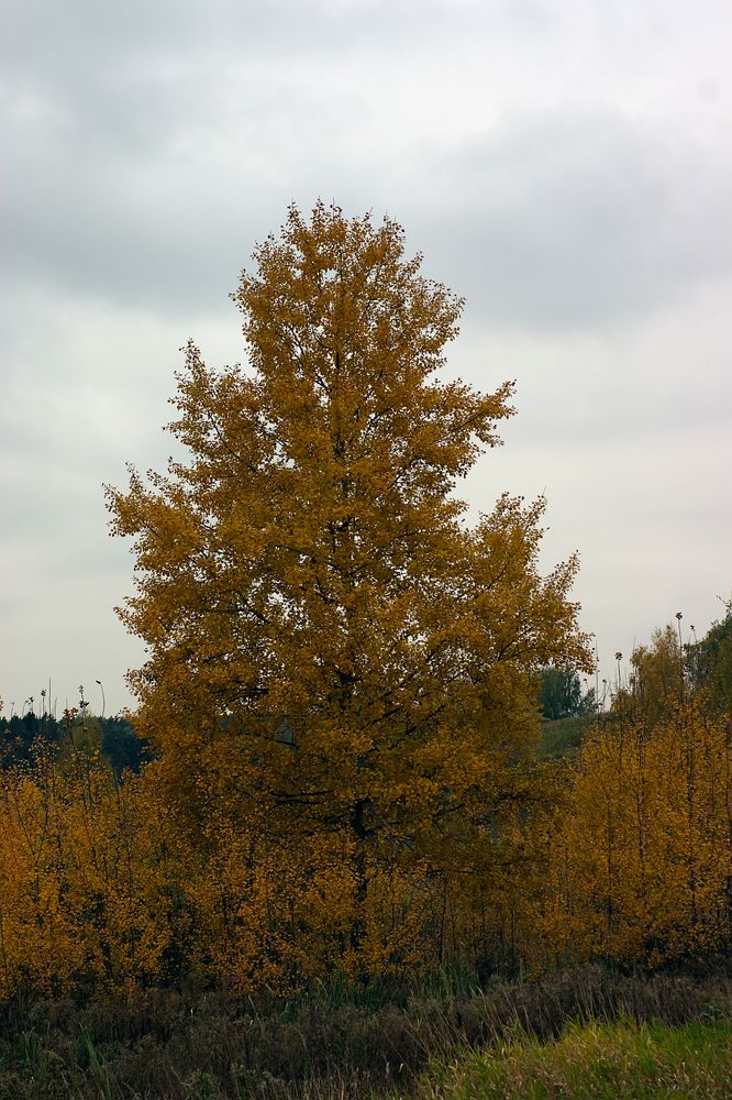 Photograph by Евгений Беленков