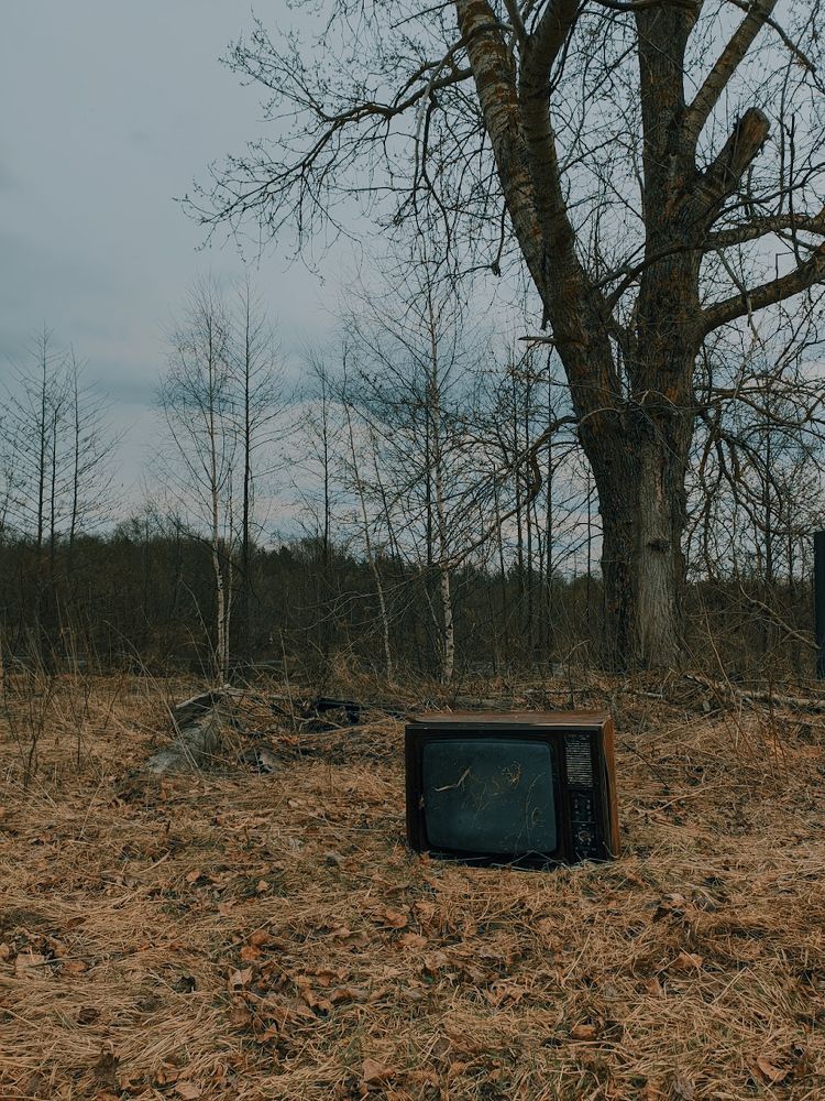 Photograph by Владимир Васенев