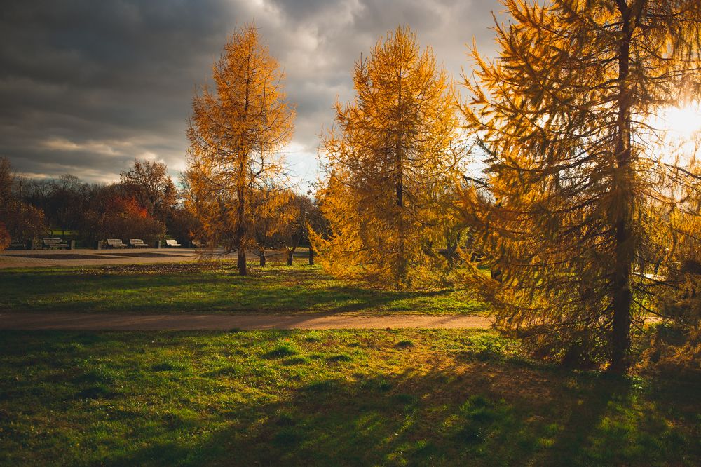 Photograph by Кирилл Черников